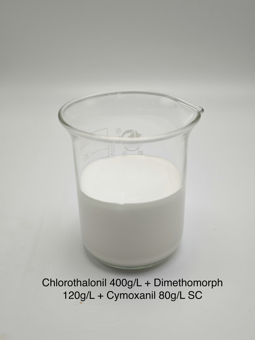 Chlorothalonil 400g/L + Dimethomorph 120g/L + Cymoxanil 80g/L SC